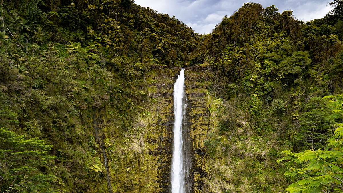 View of Akaka Falls on a sunny day in Hilo, Hawaii, USA